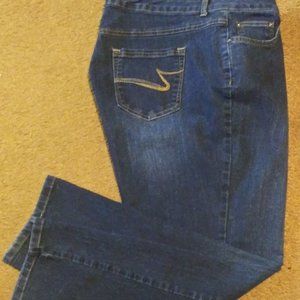 Women's Plus Size blue jeans